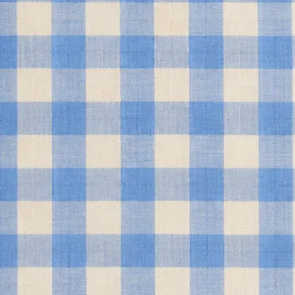 Blue gingham check pattern explored for Bono