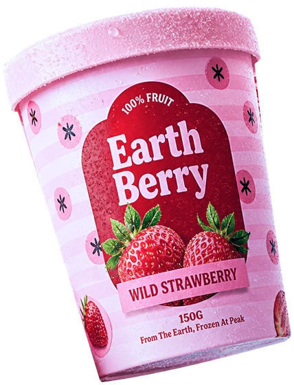 Earth Berry frozen fruit tub packaging design