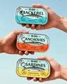 Tide House tinned fish packaging